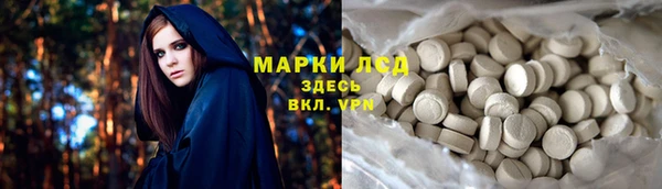 молекула духа Вяземский
