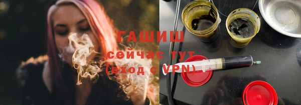 молекула духа Вяземский
