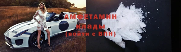 молекула духа Вяземский