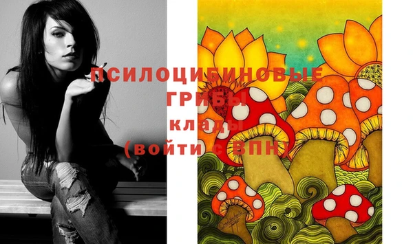 стафф Володарск