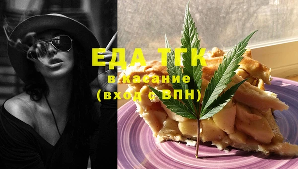 молекула духа Вяземский