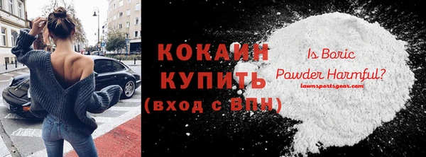 молекула духа Вяземский