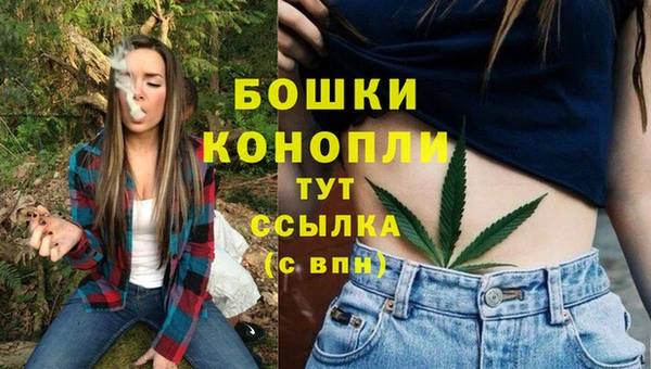 стафф Володарск