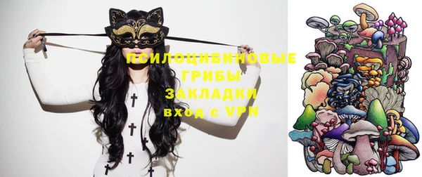 стафф Володарск