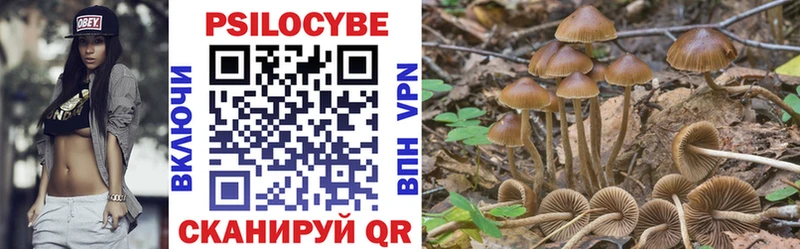 MEGA вход  цены наркотик  Кисловодск  Псилоцибиновые грибы прущие грибы 